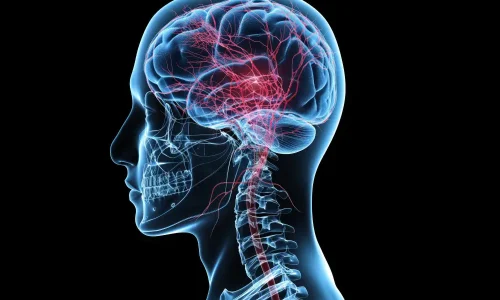 Brain and Spine(1)